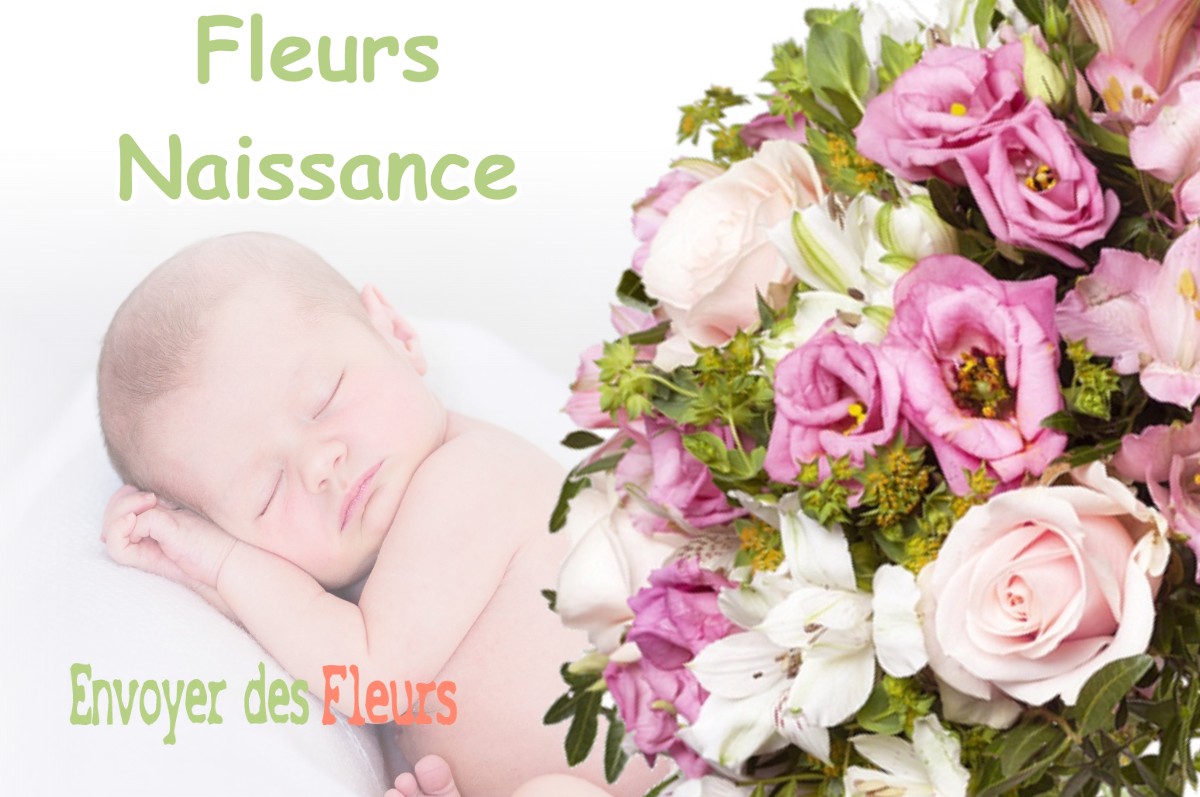 lIVRAISON FLEURS NAISSANCE à LABRIT